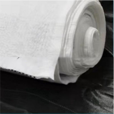 Drainagefunctie Zwart-wit 5 mm HDPE-compositdrainage netwerk voor stortplaatsen