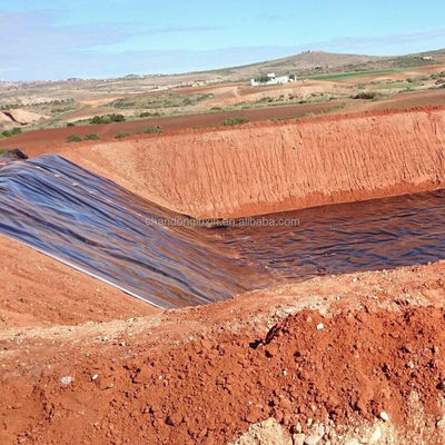 1 mm vis vijver Liner voor Fish Farm vijver Dam vijver Lengte 50m-100m of als klant vereiste