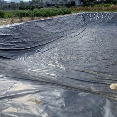 Dubbele gladde HDPE-waterdichte geomembraneplaat van kunststof voor de aquacultuur