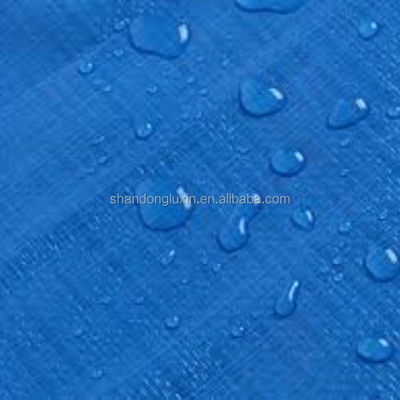 500D-1500D Garensgetal HDPE zware trailerschubber waterdicht blauw schubber