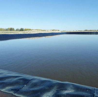 ASTM GRI-GM13 Standard 1,2 mm Zwarte EPDM waterdichte grote vijvervoering voor tuinlandschappen
