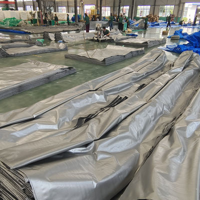Gepersonaliseerde Tarpaulinplaat van lichtgewicht PE Plastic Tarpaulin voor vrachtwagens