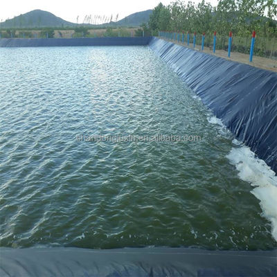 GM 13 Standaard 0.2mm-3mm Dikte Waterdichte Geomembrane voor industriële ontwerpstijl