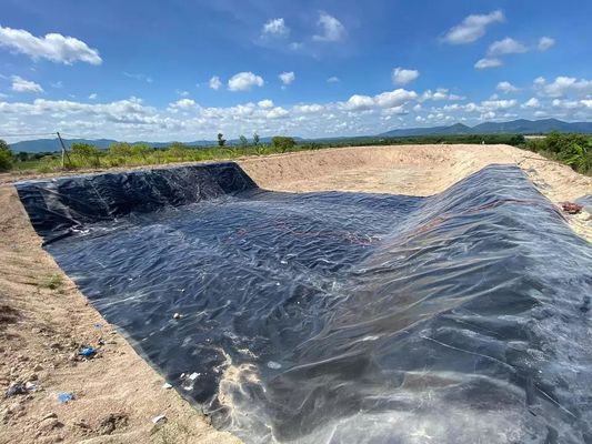 500 micron Dam Lining Prijs HDPE Geomembrane Waterdicht voor vishouderij vijver Liner