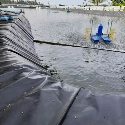 0.5mm Zwart HDPE-geomembraan voor vishouderij Langdurig en milieuvriendelijk