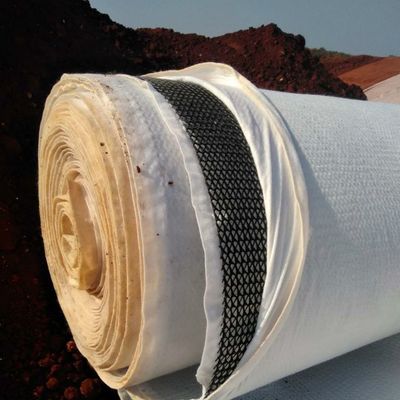 Water Afvoer Functie 6 mm Dikke Plastic Drainage Geonet in het midden van Composite Geonet