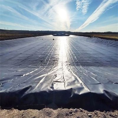 0.5mm HDPE Geomembrane voor de visserij met garnalen in zwart wit blauw groen op maat