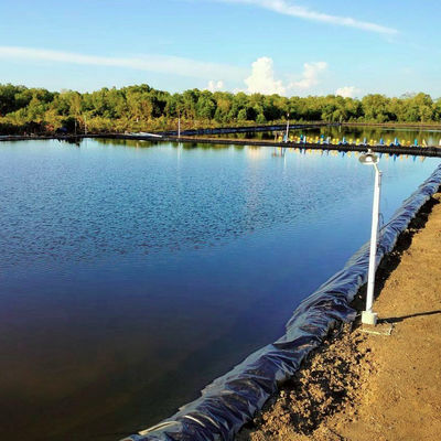 0.3mm-3.0mm Dikte HDPE Geomembraan voor Dam Liner Reservoir Mining Garnalenboerderij vijver
