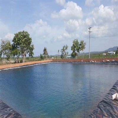1m-8m breedte visvat dam vijver voering met HDPE geomembraan en dubbel glad oppervlak