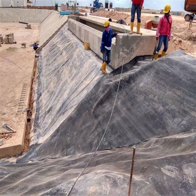 Vissenpoel Dubbel glad HDPE poel Liner 1mm 2mm Geomembraan Waterdicht Plastic Plaat