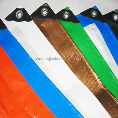 Custom Cnc Cutting Anti Gsm Technics Garne PE Coated Carbon Fiber Sheet met Mat Plain