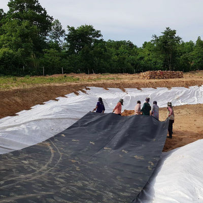 Zwart Wit Groen Blauw HDPE Geomembrane Plaat De beste keuze voor vishouderij vijver Liner