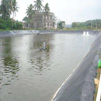 500 micron 0,5 mm dikte vis vijver Liner HDPE Geomembrane voor vijver waterdichtheid
