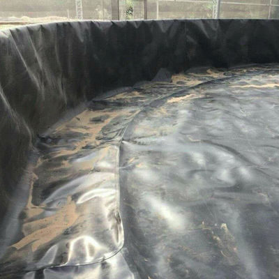 Aquacultuur Geomembranen Dam Liner 100% maagdelijk materiaal HDPE voor totale oplossingsprojecten