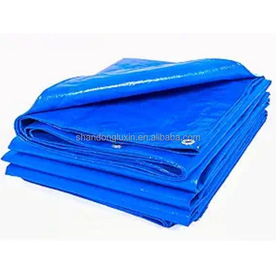 PE-gecoat waterdicht vrachtwagen-auto-deksel Plastic Sheets 120GSM Tarpaulin van andere stoffen
