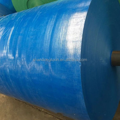 20x30 30x50 40x60 Zwaar werkend plastic PE-doekdoek waterdicht geweven doekdoek op maat