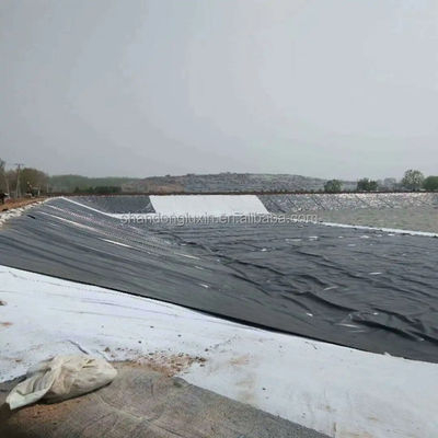 Industriële ontwerp stijl HDPE geomembraan 1m-8m breedte voor stortplaats vijver liner materiaal