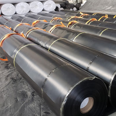 Zwart of op maat gemaakte 0,5 mm HDPE-plaat Glanse Geomembrane voor garnalenhouderijoplossingen