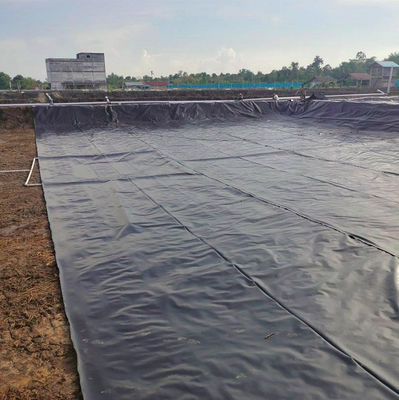 LLDPE Geomembranen Duurzame zwembadvoering voor aquacultuur Visserij Plastic vijver