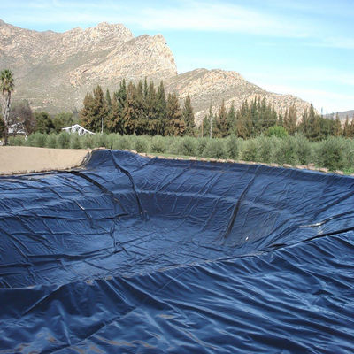 Industrieel ontwerp 0,5 mm HDPE gladde geoliner vis vijver liner voor aquacultuur