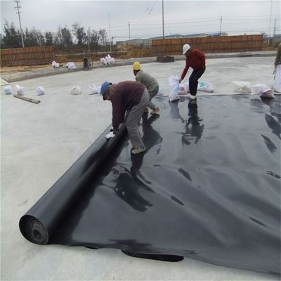 0.5mm 1mm 1.5mm 2mm HDPE Geomembrane voor visvijvers in industriële ontwerpstijl