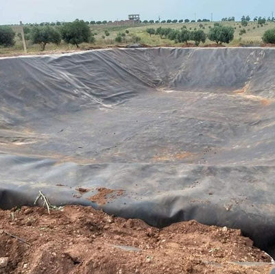 ASTM GRI-GM13 Standard Geomembrane HDPE gladde waterdichte vis vijver Liner voor zwembad