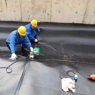 Geomembraan van plastic vistenk voor HDPE-materiaal en kreeftenhouderij in mijnen, enz.