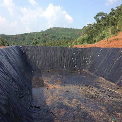 Vissenboerderij vijver dam stortplaats Liner HDPE Geomembrane 0,5 mm 0,75 mm 1,0 mm 1,5 mm 2,0 mm 3,0 mm
