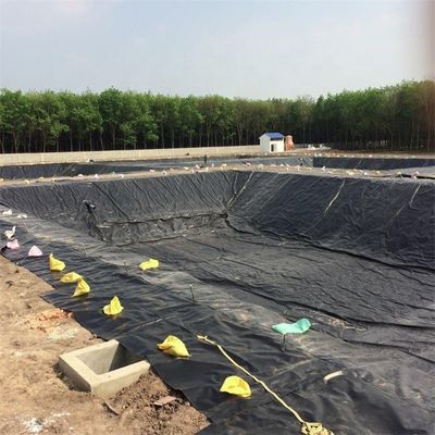 Vissenboerderij vijver dam stortplaats Liner HDPE Geomembrane 0,5 mm 0,75 mm 1,0 mm 1,5 mm 2,0 mm 3,0 mm