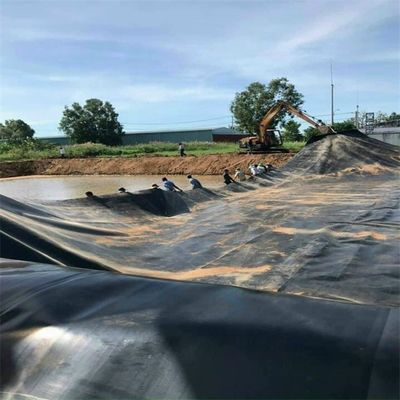Vissenboerderij vijver dam stortplaats Liner HDPE Geomembrane 0,5 mm 0,75 mm 1,0 mm 1,5 mm 2,0 mm 3,0 mm