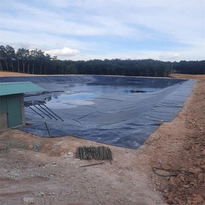 Vissenboerderij vijver dam stortplaats Liner HDPE Geomembrane 0,5 mm 0,75 mm 1,0 mm 1,5 mm 2,0 mm 3,0 mm
