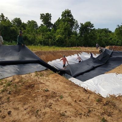 Vissenboerderij vijver dam stortplaats Liner HDPE Geomembrane 0,5 mm 0,75 mm 1,0 mm 1,5 mm 2,0 mm 3,0 mm