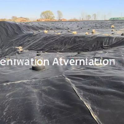 Waterdicht glanzend geomembrane industriële ontwerp voor 0,75 mm 1 mm 1,5 mm HDPE LDPE