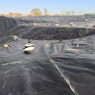 Dubbel glad oppervlak 0,5 mm LDPE LLDPE HDPE Geomembrane voor visindustrie Dam Liner