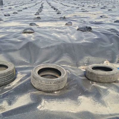 Dubbel glad oppervlak 0,5 mm LDPE LLDPE HDPE Geomembrane voor visindustrie Dam Liner