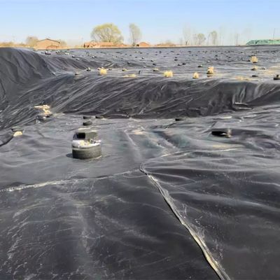 50-100m Lengte HDPE Geomembrane voor waterdichte vis vijver Liner in zwembad