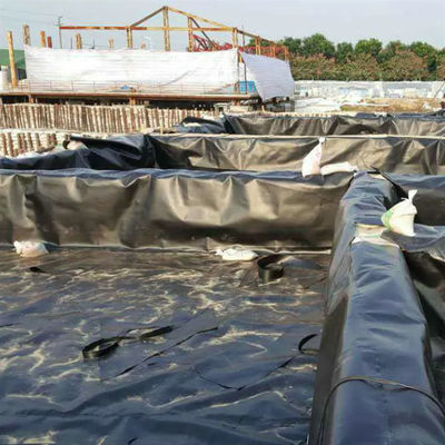 50-100m Lengte HDPE Geomembrane voor waterdichte vis vijver Liner in zwembad
