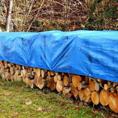 Gepersonaliseerde vis vijver tent tepelplaat 240GSM tepel voor auto aanhangwagen dekking waterdicht PE