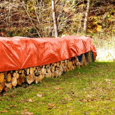 Gepersonaliseerde vis vijver tent tepelplaat 240GSM tepel voor auto aanhangwagen dekking waterdicht PE