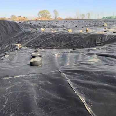 1.0mm Geomembraan 2mm Hdpe Geomembraan 20 Mil Pond Liner voor Geomembranen 1m-8m Breedte