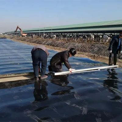 1 mm 2 mm Dikte HDPE Geomembrane vispoel Liner voor kunstmatige waterdichtheid van meer
