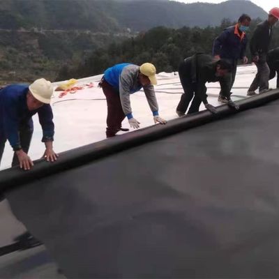 Doppel glad/dubbel textuur oppervlak HDPE geomembraan voor plastic waterdichte vijvervoering