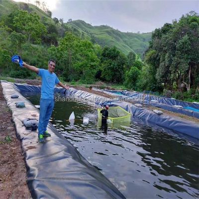 0.75mm HDPE Geoembrane Waterdicht Membraan voor de aquacultuur Vissen en garnalen Tank Liner