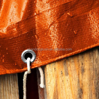 6*6-16*16 Dichtheid UV-beschermd PE-doek voor landbouw en industrie