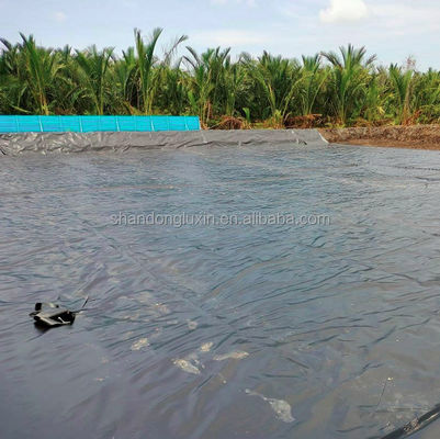 Industrial Design Style Hdpe Geomembrane Pond Liner met waterdicht waterdicht oppervlak