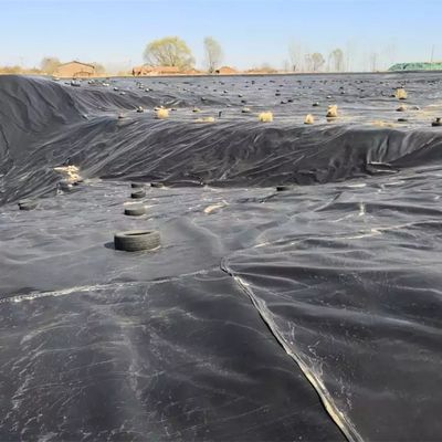 Glanz oppervlak 0,5 mm HDPE geomembrane liner sheet voor vishouderij vijver materiaal