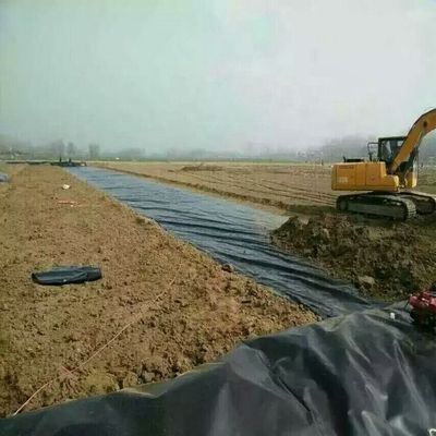 Industriële ontwerp stijl gladde HDPE geomembrane vijvervoering voor stortplaatsen