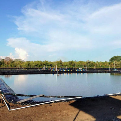HDPE Geomembrane Fish Pond Liner 0.3mm-3mm Totale oplossing voor waterdichtheidsprojecten