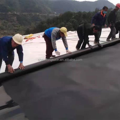 Geomembrane 0,75 mm 1 mm HDPE Wateropslag Polythene plaat en service na verkoop