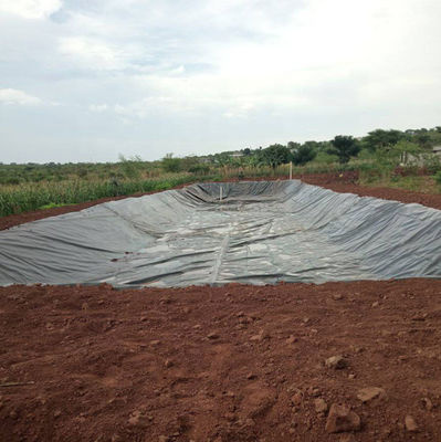 500 micron HDPE geomembrane vispoelvoering voor waterdichtheid en waterdichtheid